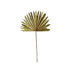 Palm leaf branch dried 96cm