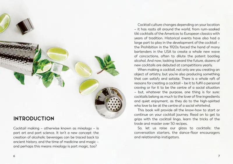Little book for cocktail lovers