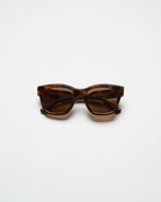 Chimi 07, tortoise