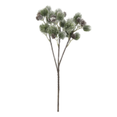 Fleur branch with cedar spruce & pine