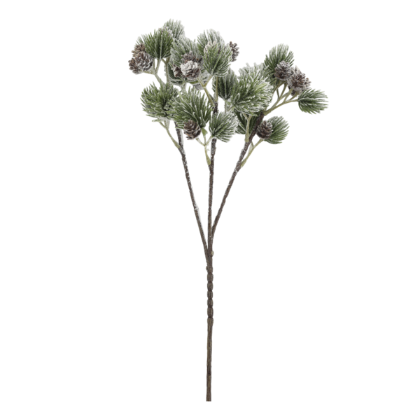 Fleur branch with cedar spruce & pine