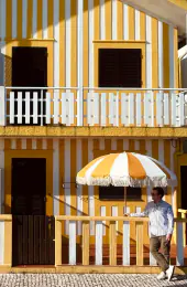 Giralsol, stripe yellow