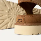 Goldenstar, chestnut