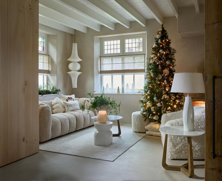 Merry christmas pillow cover 50x30