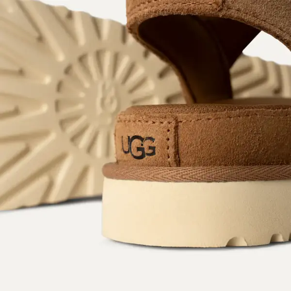 Goldenstar, chestnut