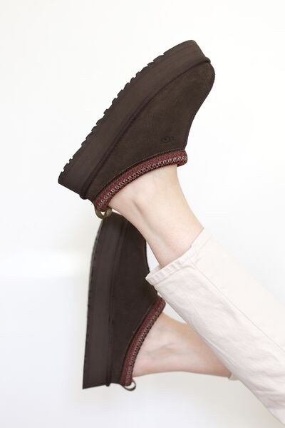 Tazz II, dusted cocoa