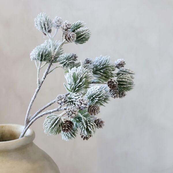 Fleur branch with cedar spruce & pine
