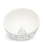 Magical Christmas cereal bowl