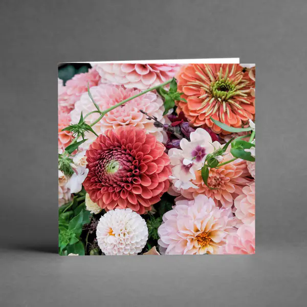 Grande colorful flowers