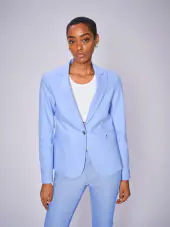 Blake night blazer, hydrangea