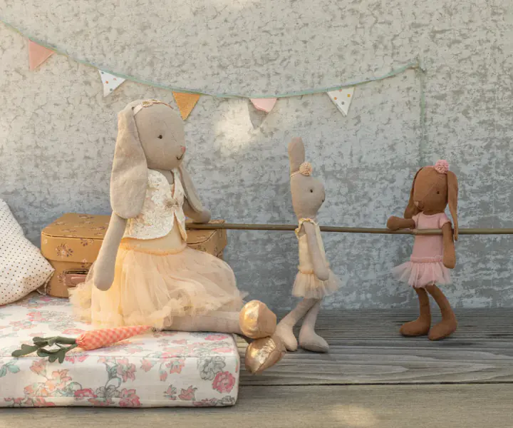 Bunny 1, brown ballet suit