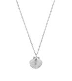 Beachcomber necklace shell, steel