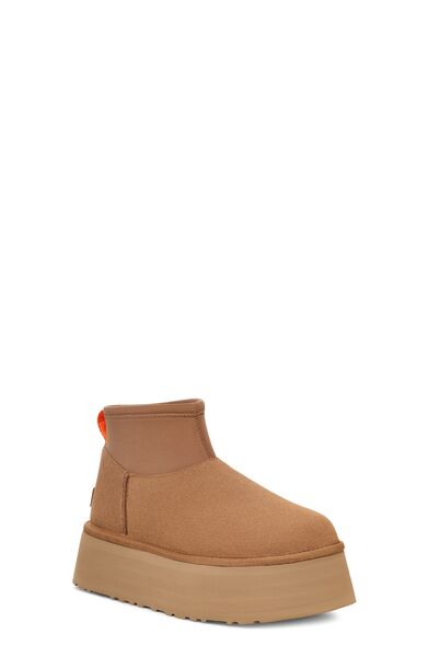 Classic mini dipper, chestnut