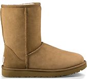 Classic short II, chestnut