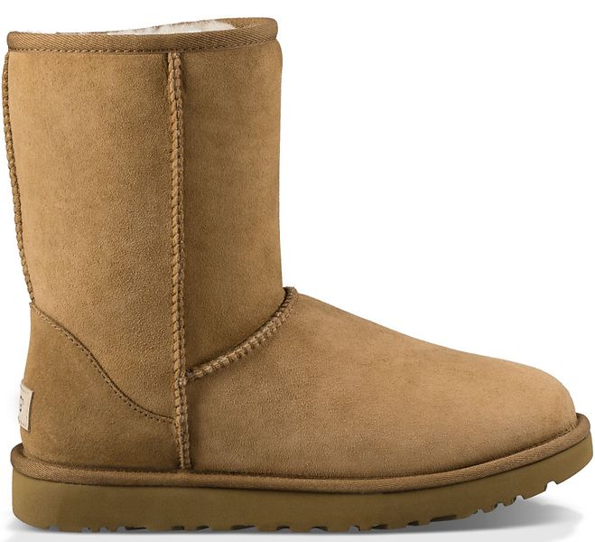 Classic short II, chestnut