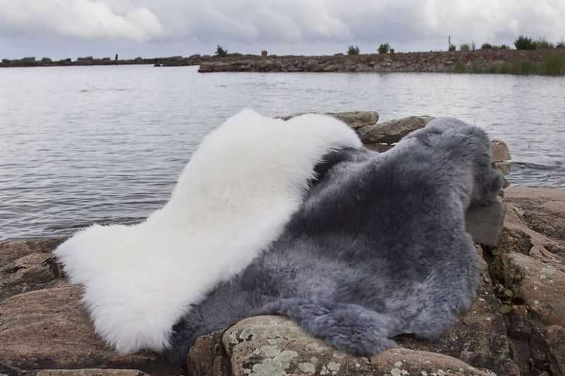 Gently sheepskin, white