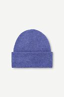Nor hat, iris bloom
