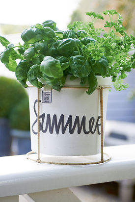 HAPPY SUMMER POT